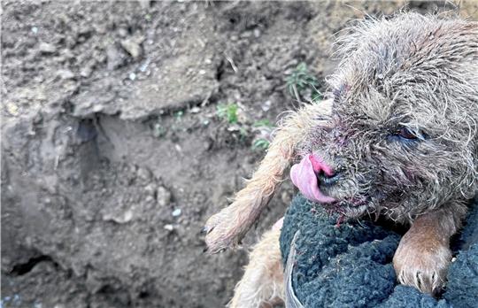Da steckt aber jemandem der Schreck noch ordentlich in den kleinen Gliedern. Foto: Schlegel