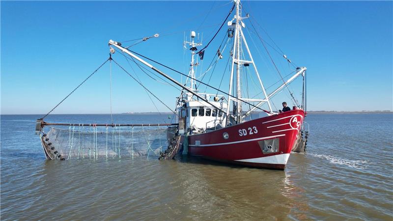 Dabei ging auch das Netz des Krabbenkutters kaputt. 