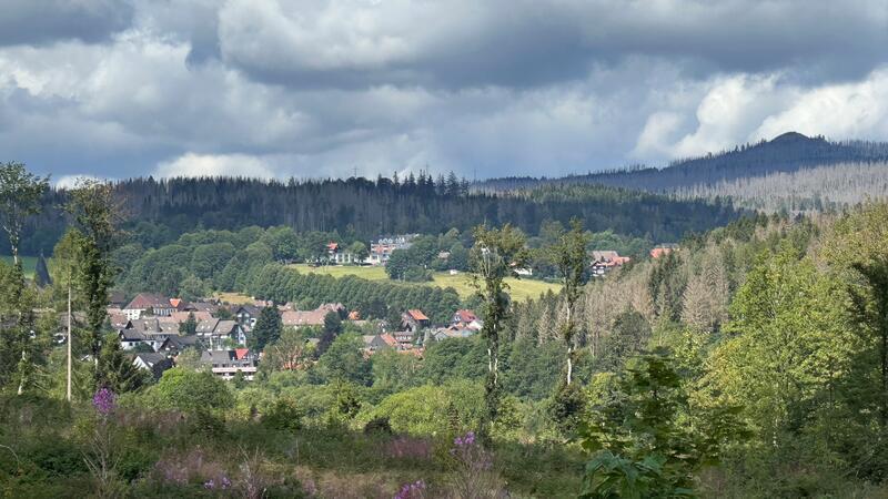 Damit die Bürger, die in Braunlage ihren Zweitwohnsitz haben, auch eine Steuer zahlen, will sich nun der Ausschus für Bau, Verkehr, Umwelt, Wirtschaft und Tourismus mit dem Thema befassen.