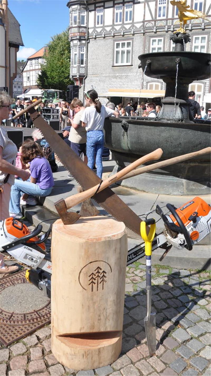 Damit kann man arbeiten: Was im Wald zum Machen wichig ist.