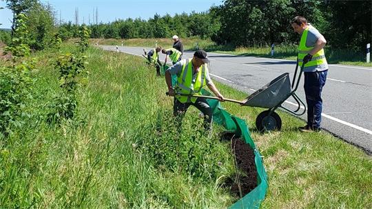 Mehrere Personen mit Warnwesten arbeiten am Straßenrand und legen eine grüne Schutzfolie in den Graben, um einen Zaun zu bauen.