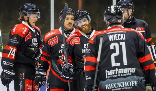 Die Spieler der Harzer Falken feiern ein Tor.