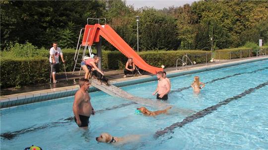 Das 9. Hundeschwimmen lockte nach Hornburg.