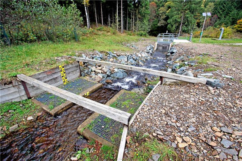 Das Ende des Hochwassertunnels: Hoffnung und Kritik Das Ableitungswerk im Wintertal: Durch ein altes Bohrloch kann Hochwasser in den Oker-Grane-Stollen fließen. Archivfoto: Epping