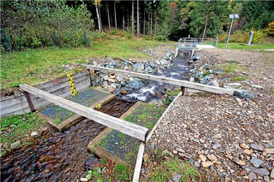 Das Ableitungswerk im Wintertal: Durch ein altes Bohrloch kann Hochwasser in den Oker-Grane-Stollen fließen.  Archivfoto: Epping