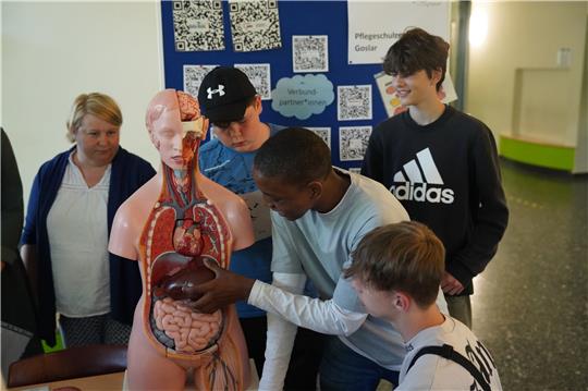 Das Anatomiemodell des Pflegeschulzentrums Goslar ist interessant. Foto: Bode