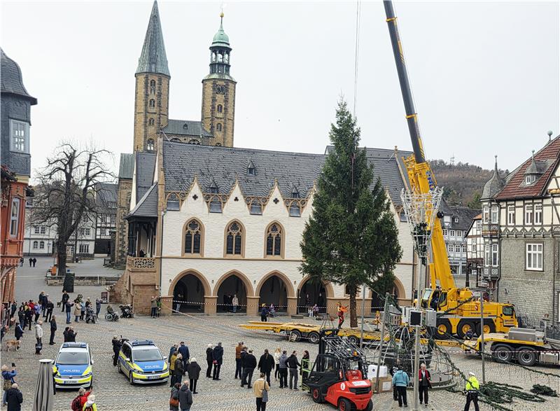 Die Fichte wird von einem Kran auf den Marktplatz platziert.