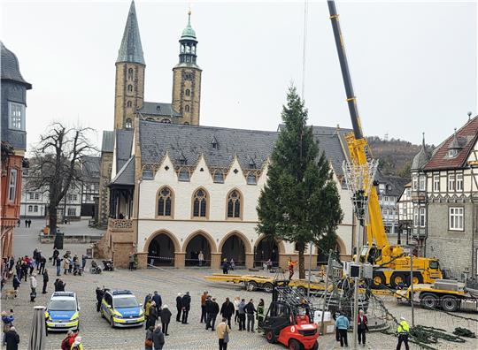 Die Fichte wird von einem Kran auf den Marktplatz platziert.
