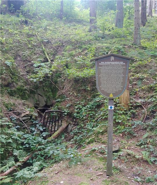 Das Auslaufmundloch am Adlersberg-Nord am Lautenthaler Kunstgraben ist stark verwittert wie auch weite Teile des unter Denkmalschutz stehenden Wasserlaufes. Foto: Privat
