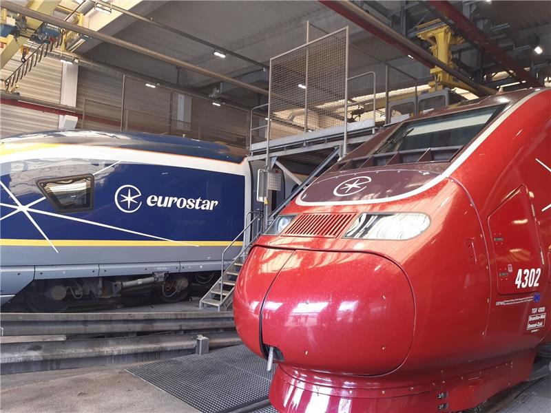 Schnellverkehr brummt: Eurostar will neue Züge kaufen Das Bahnunternehmen Eurostar will in bis zu 50 neue Züge investieren.