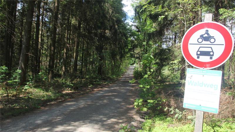 Das Baugebiet in der Kollie entzweit den Rat und sorgt für mitunter skurriles Abstimmungsverhalten.