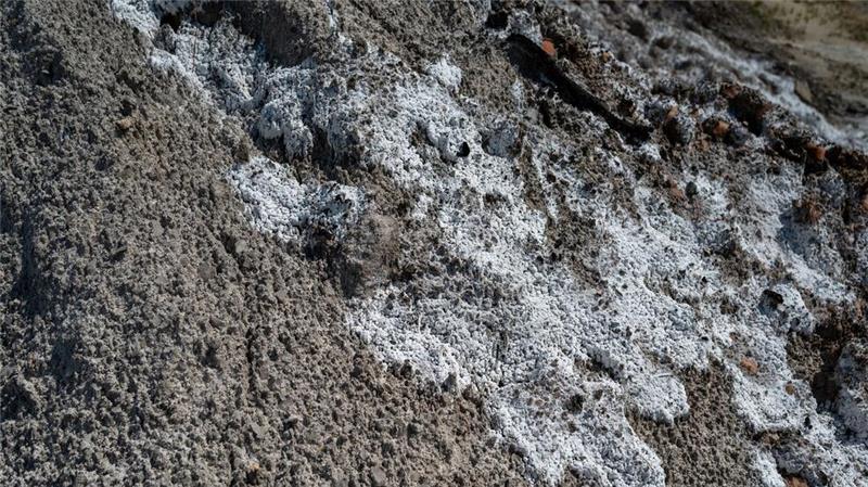 „Kapitel Gorleben“ wird geschlossen - Verfüllung beginnt Das Bergwerk in Gorleben ist für die Atommüll-Lagerung ungeeignet. Der Auftrag zur Schließung liegt seit langem vor. (Archivbild)