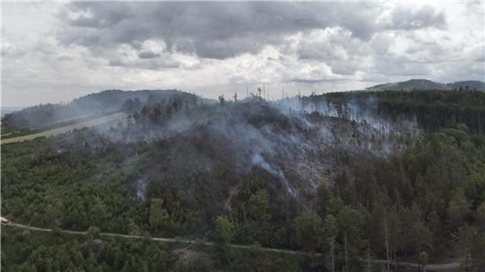 Das Bild zeigt das Ausmaß des Feuers am "Verlorenen Berg", das am 22. Juni zwischen Steinberg und Granetalsperre ausbrach.