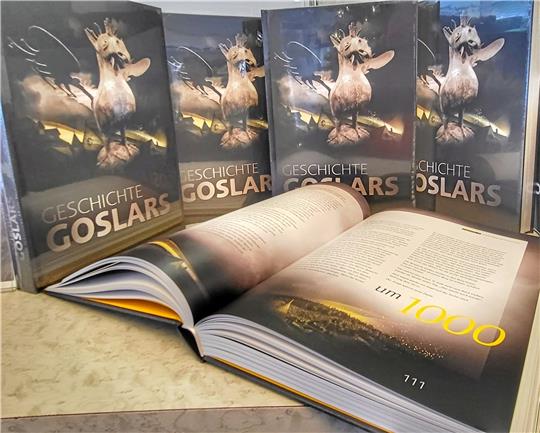 Das Buch „Geschichte Goslars“ erscheint demnächst in einer zweiten, überarbeiteten Auflage. Archivfoto: Roß