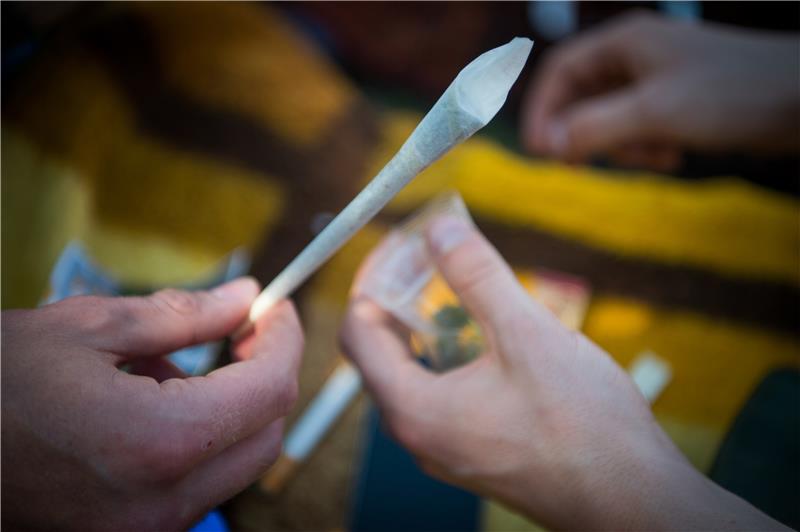 „Ich habe zahlreiche Cannabis-Opfer gesehen“ Das Bundeskabinett hat das „Gesetz zum kontrollierten Umgang mit Cannabis und zur Änderung weiterer Vorschriften“ beschlossen. Demnach sollen Besitz und Anbau der Pflanzen unter bestimmten Bedingungen legalisiert werden. Die Staatsanwaltschaft hält dies für keine gute Idee. Symbolfoto: Bansch, dpa