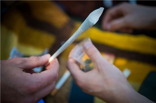 Das Bundeskabinett hat das „Gesetz zum kontrollierten Umgang mit Cannabis und zur Änderung weiterer Vorschriften“ beschlossen. Demnach sollen Besitz und Anbau der Pflanzen unter bestimmten Bedingungen legalisiert werden. Die Staatsanwaltschaft hält dies für keine gute Idee. Symbolfoto: Bansch, dpa