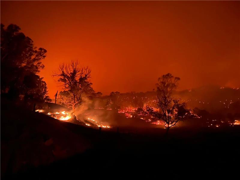 „Eingekesselt”: Buschbrand wütet an Australiens Ostküste Das Buschfeuer nahe Kempsey nordöstlich von Sydney.