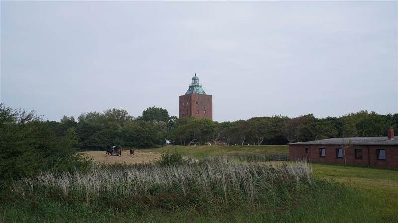 Sanierungsarbeiten am Leuchtturm Neuwerk beginnen Das Denkmal ist über 700 Jahre alt. (Archivbild)