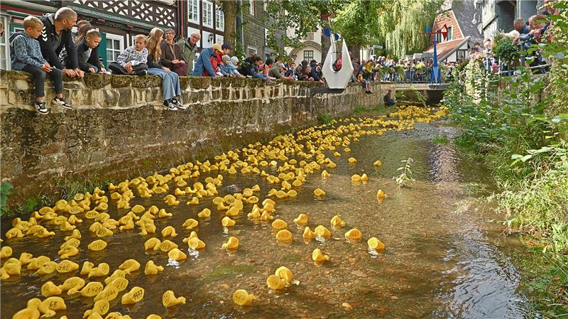 Altstadtfest Goslar: Entenrennen war ausverkauft Das Entenrennen an der Abzucht erfreut sich großer Beliebtheit.