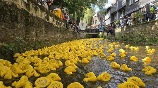 Das Entenrennen beim Altstadtfest erfreut sich 2024 großer Beliebtheit.