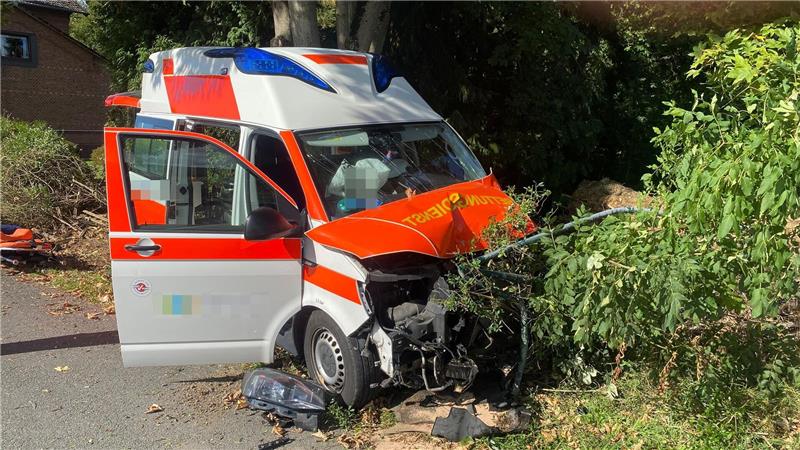 Das Fahrzeug kam auf einem Grünstreifen zum Stehen.