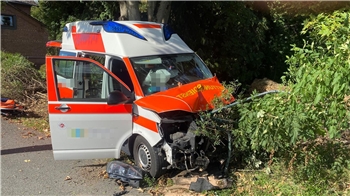 Das Fahrzeug kam auf einem Grünstreifen zum Stehen.