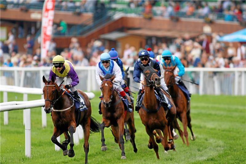 Das Feld passiert die Tribünen und macht sich auf den Weg in die Gegenseite. Auch am heutigen Freitag wird das Publikum wieder spannende Galopprennen zu sehen bekommen.  Fotos: Epping
