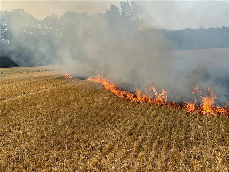 Zwei Brände und mit 2,46 Promille auf dem Drahtesel Das Feuer hatte sich schnell ausgebreitet, später waren 2500m² betroffen. Foto: privat