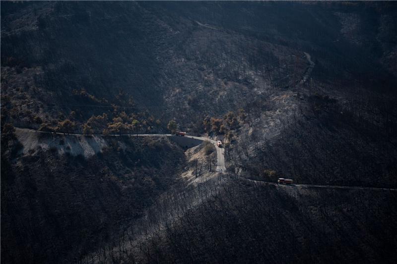 Das Feuer hinterlässt einen verbrannten Wald.