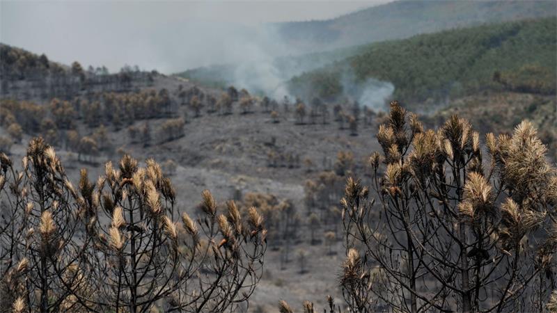 Waldbrand bei Madrid wird immer größer Das Feuer in der Region von Guadalajara nordöstlich von Madrid hat bereits 26.000 Hektar Wald- und Buschland vernichtet.