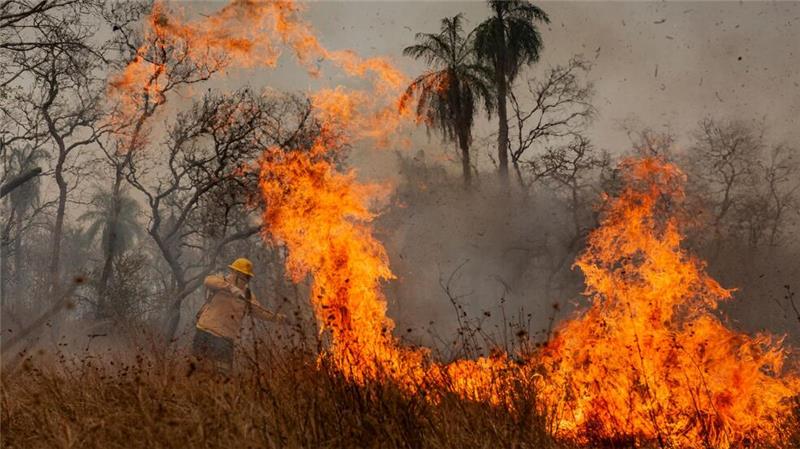 Indigene Feuerwehrleute kämpfen in Brasilien gegen Flammen Das Feuer richtet Verwüstung in der gesamten Region an.