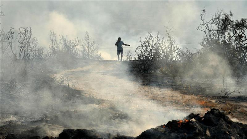 Das Feuer tobt nördlich der Hafenstadt Limassol.