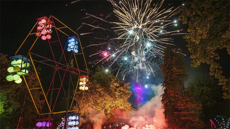 Salz- und Lichterfest 2026 in Bad Harzburg Das Feuerwerk beschließt den Samstagabend.