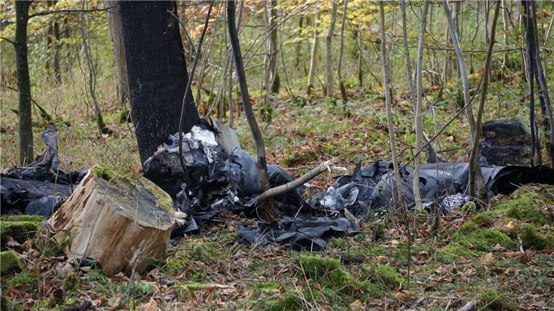 Zwei Tote bei Flugzeugabsturz in Baden-Württemberg Das Flugzeugwrack an der Absturzstelle im Wald.