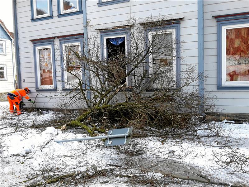 Mieter sauer: Baum kracht bei Fällung auf Wohnhaus Das Foto wird Minuten nach dem Einschlag des Baumes aufgenommen. Der größere Teil des Baumes ist schon entfernt. Foto: Privat