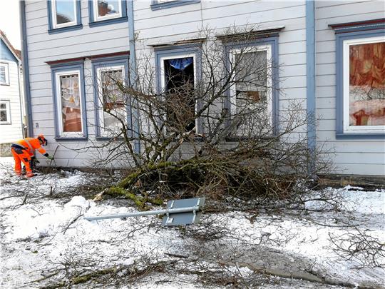 Das Foto wird Minuten nach dem Einschlag des Baumes aufgenommen. Der größere Teil des Baumes ist schon entfernt. Foto: Privat