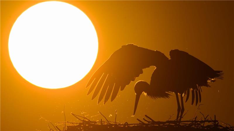 Bis zu 29 Grad: Warme Woche mit sonnigem Feiertagswetter „Das Frühlingswetter läuft in den kommenden Tagen zur Hochform auf“, sagt der DWD-Meteorologe.