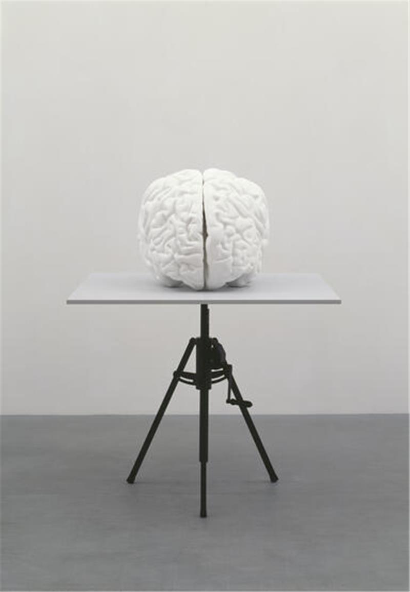 Das „Gehirn“, eine Skulptur aus den Jahren 1987/2009, ist ein Objekt aus Metall, Polyester, Acrylfarbe und Holz, 160 x 120 x 120 Zentimeter groß.