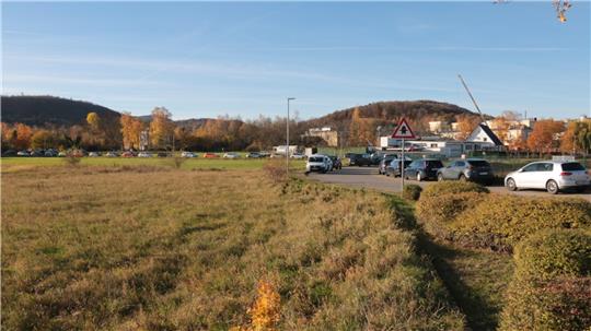 Zu sehen ist ein grünes Feld mit Bergen im Hintergrund und einer Straße mit parkenden Autos.