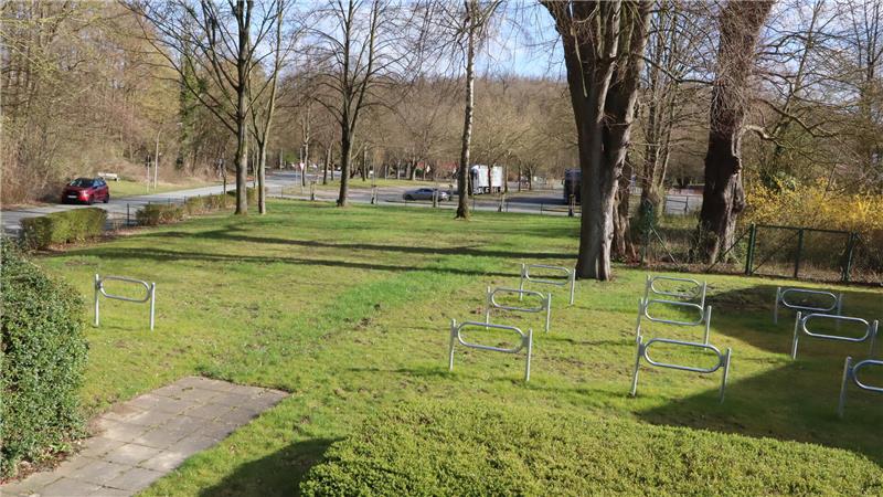 Rasenfläche mit Bäumen. 