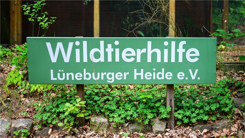 Wildtierhilfe Lüneburger Heide: 400 Tiere, wenig Personal Das Gelände des Betriebs am Rande der Lüneburger Heide ist neun Hektar groß.