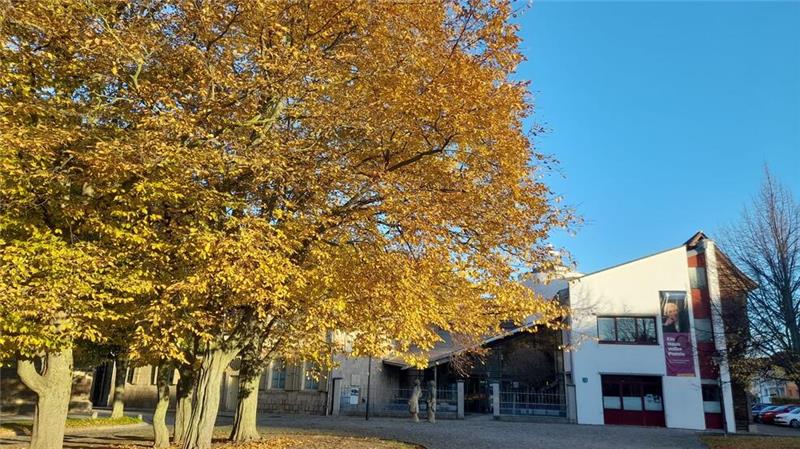 Halberstädter Gleimhaus schreibt Jugend-Literaturpreis aus Das Gleimhaus schreibt einen Literaturwettbewerb für Schüler aus.