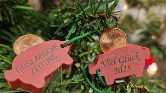 Das Glück hängt am Weihnachtsbaum. Bei der diesjährigen GZ-Glücksschweinchenaktion können sich wieder fünf Empfänger aus Clausthal-Zellerfeld über eine Spende freuen.