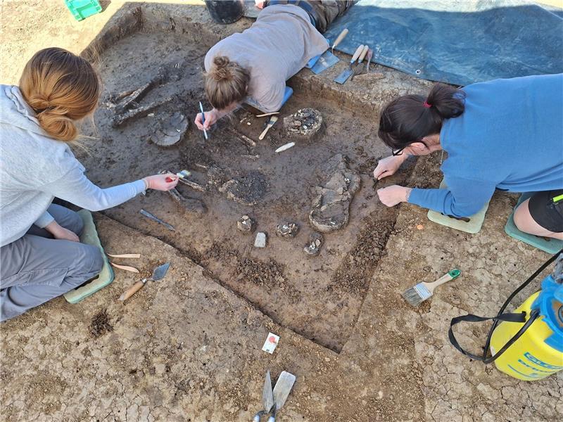 6800 Jahre altes Skelett in Niederbayern ausgegraben Das Grab im Ortsteil Exing, nach dem das Skelett als «Exinger» bezeichnet wird, wurde bei einer Untersuchung vor Bauarbeiten entdeckt.