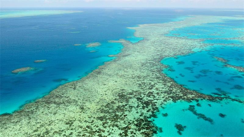 Das Great Barrier Reef gilt als eines der größten Naturwunder der Erde. (Archivbild)