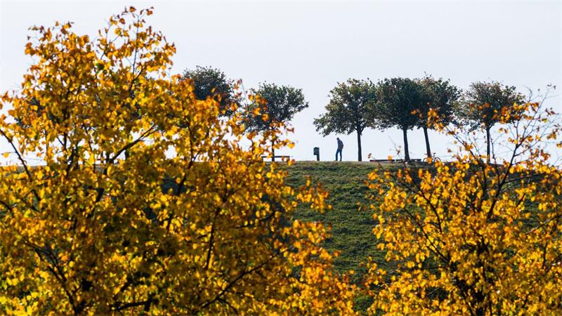 Das Herbstwetter wird langsam ungemütlicher. (Symbolbild)
