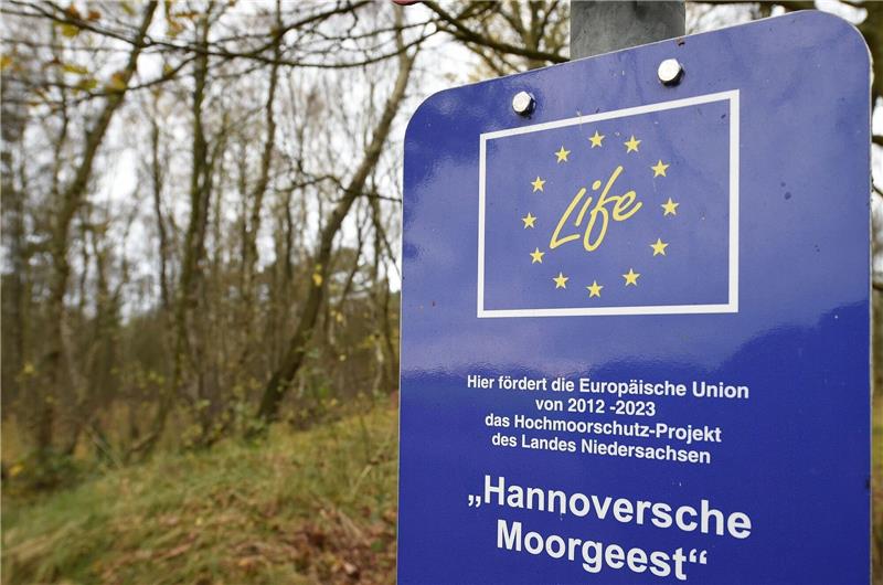 Erhebliche Verluste bei niedersächsischen Mooren Das Hochmoorschutz-Projekt des Landes Niedersachsen «Hannoversche Moorgeest» im Naturschutzgebiet Bissendorfer Moor.