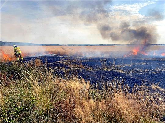 Das Jahr 2022 wird als eines der wärmsten in die Wetteraufzeichnungen eingehen: Nicht nur hitzig sondern vor allem (mal wieder) viel zu trocken war es in den meisten Monaten. Das hat Folgen, sagt der Hobby-Meteorologe Arne Bastian und verweist unter anderem auf die Zunahme der Wald- und Flächenbrände im Sommer – wie hier Mitte Juli bei Harlingerode. Foto: GZ-Archiv