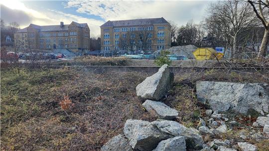 Großes, unebenes Gelände mit mehreren großen Felsbrocken und kahlen Bäumen, im Hintergrund mehrstöckige Gebäude.