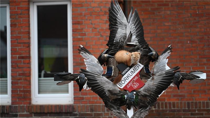 Das Klaasohm-Fest auf Borkum gehört zu den seit vielen Generationen gepflegten Traditionen auf der Insel.